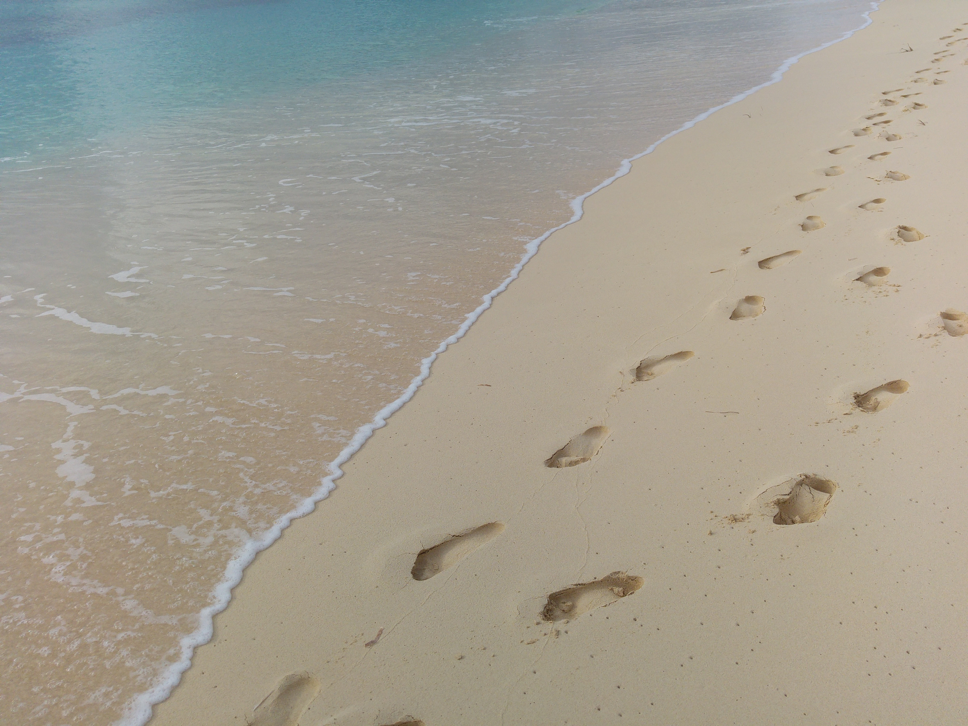 Footprints in the Sand